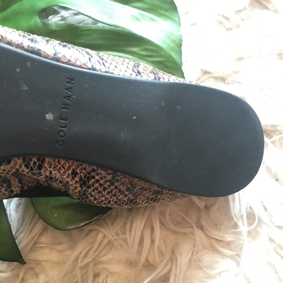 Cole Haan stretchy snakeskin black toe flats - Picture 2 of 5